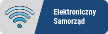 Elektroniczny samorząd